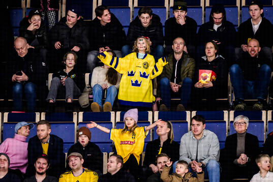 Supporters of Sweden