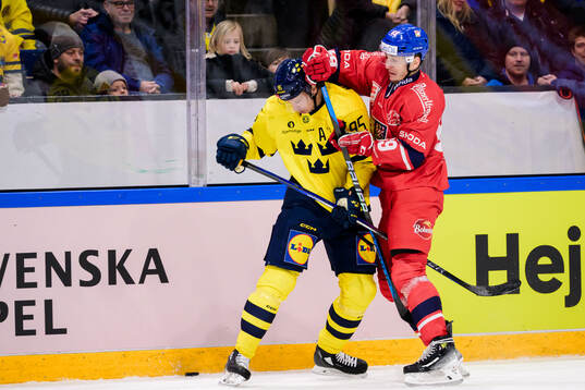 Jacob de la Rose of Sweden Lukas Radil of Czech Republic