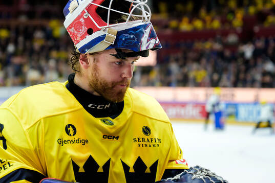 Goalkeeper Marcus Högberg of Sweden
