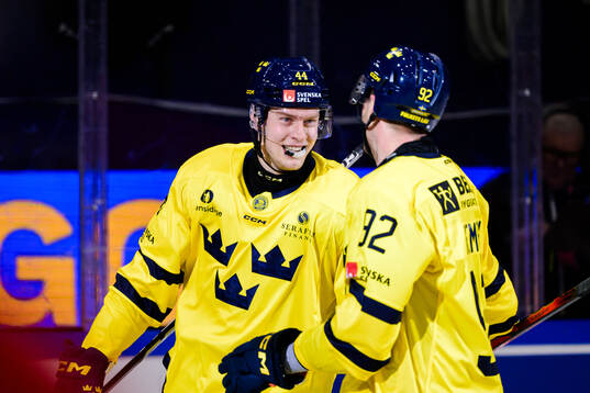 Victor Ejdsell and Patrik Nemeth of Sweden celebrates