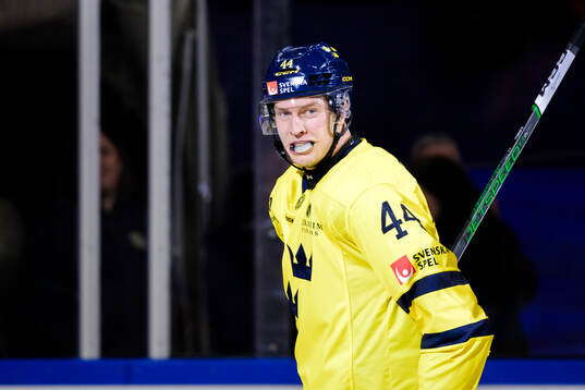 Victor Ejdsell of Sweden celebrates