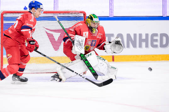 goalkeeper Jakub Malek of Czech Republic