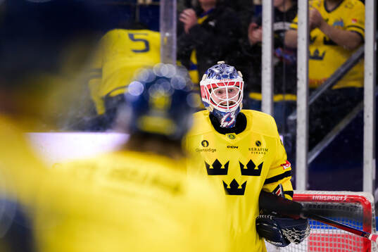 goaltender Marcus Högberg of Sweden celebrates