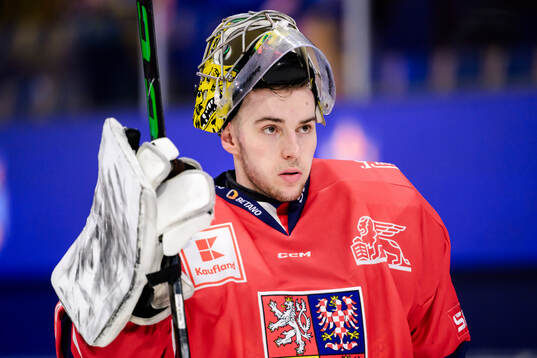 goalkeeper Jakub Malek of Czech Republic looks dejected