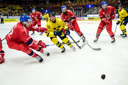 Libor Hájek of Czech Republic and Jesper Frödén of Sweden