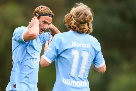 Erik Botheim of Malmö FF