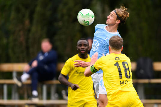 Erik Botheim of Malmö FF