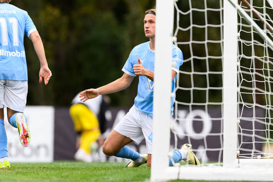 Erik Botheim of Malmö FF