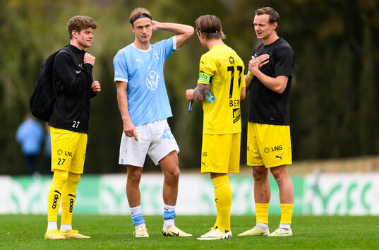 Sondre Sørli of Bodø/Glimt and Erik Botheim of Malmö FF