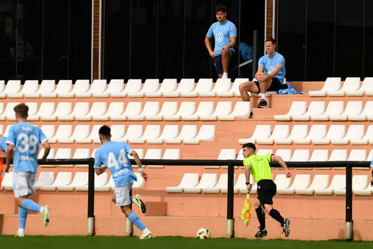 Stefano Vecchia and Niklas Moisander of Malmö FF in the