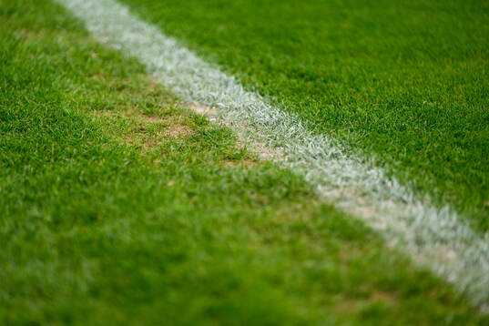Grass