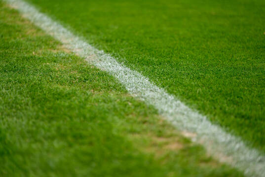 Grass