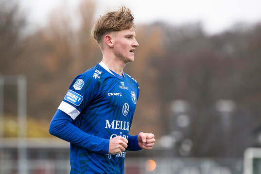 Trelleborgs Kalle Wendt