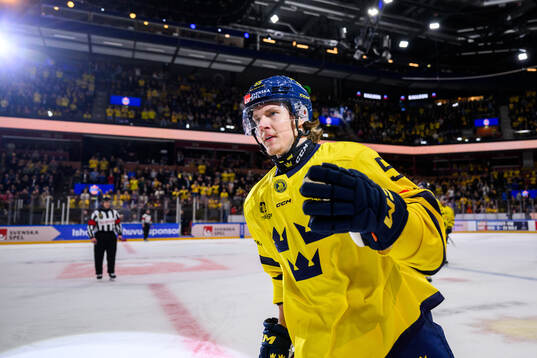 Marcus Hardegård of Sweden celebrates