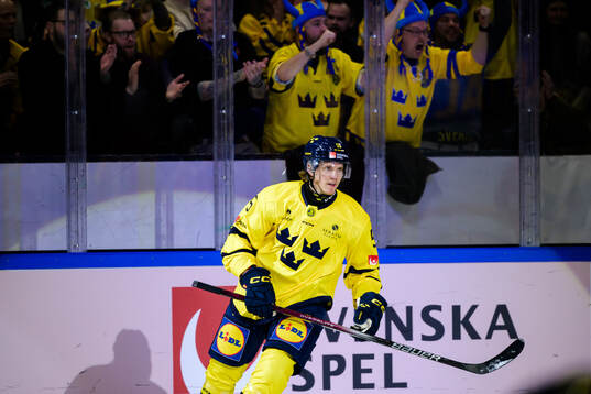 Marcus Hardegård of Sweden celebrates