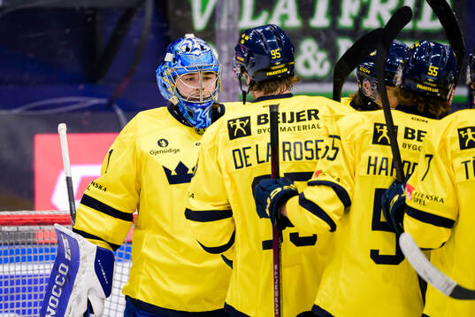 goalkeeper Filip Larsson of Sweden celebrates