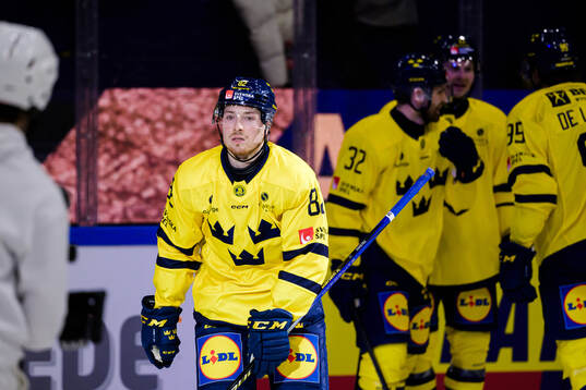 Jesper Frödén of Sweden celebrates