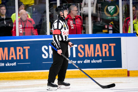 Referee Jiri Ondracek