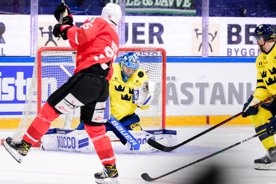 goalkeeper Filip Larsson of Sweden