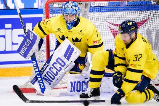 goalkeeper Filip Larsson of Sweden