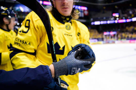 The puck from Marcus Hardegård of Sweden (not in picture)
