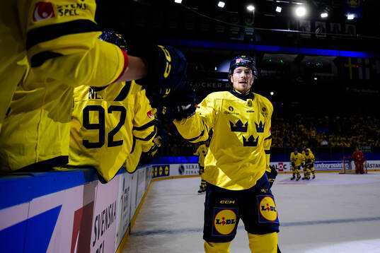 Jesper Frödén of Sweden celebrates