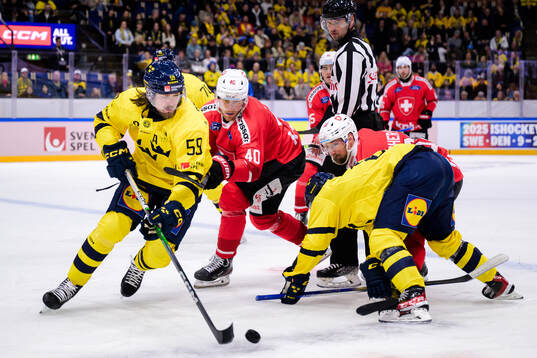 Linus Johansson of Sweden and André Heim of Switzerland