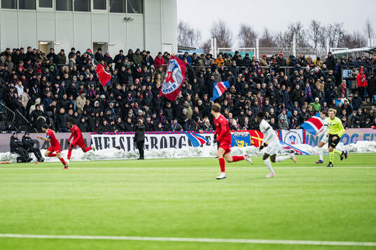 Helsingborgs supprotrarna