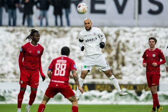 Helsingborgs Sumar Almadjed