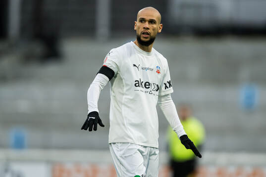 Helsingborgs Sumar Almadjed