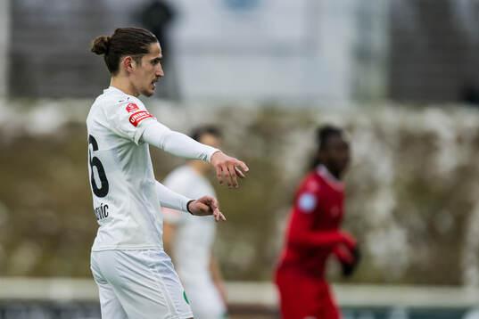 Helsingborgs Ervin Gigovic