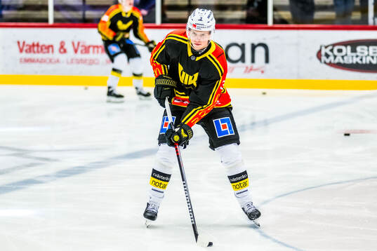 Västerås Ludvig Östman