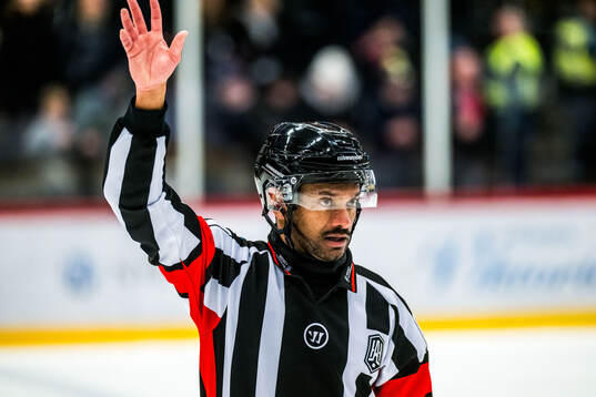 Domare Fredrik Rönnberg