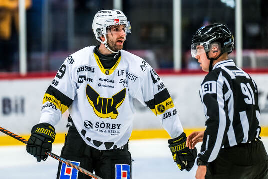 Västerås Amil Krupic reagerar på ett domslut