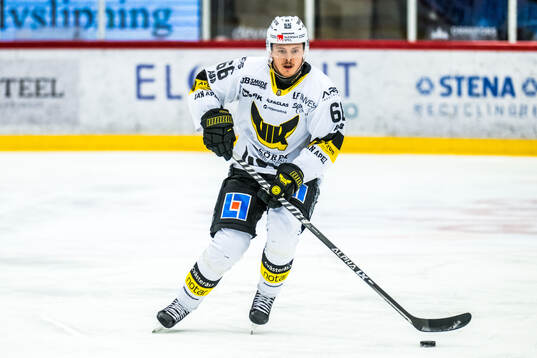 Västerås Alexander Lindelöf