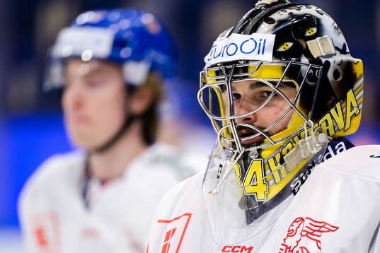 Goalkeeper Simon Zajicek of Czech Republic