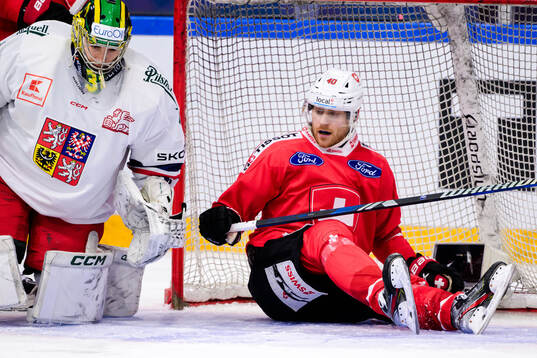 Goalkeeper Jakub Málek of Czech Republic and André Heim