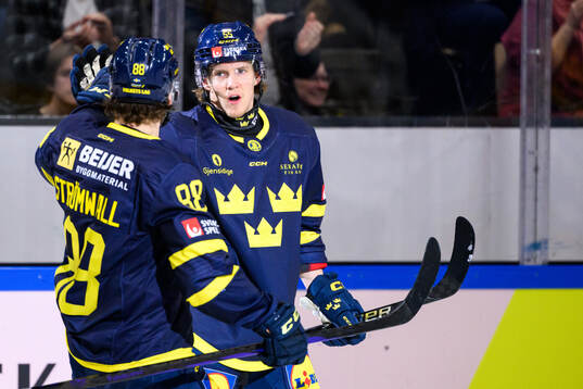 Marcus Hardegård of Sweden celebrates