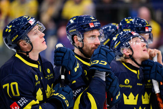 Patrik Nemeth of Sweden looks dejected