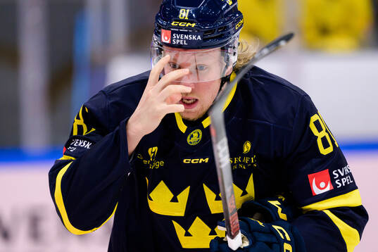 Marcus Sylvegård of Sweden