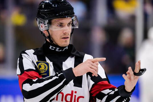 Referee Jiri Ondracek