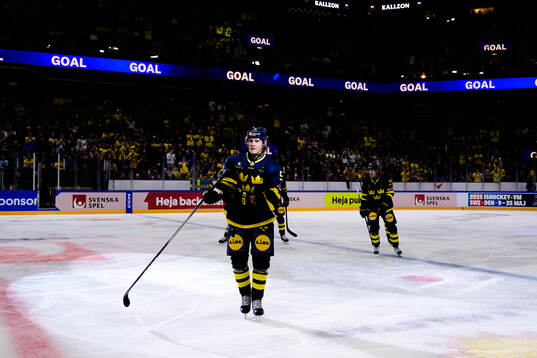 Marcus Hardegård of Sweden celebrates