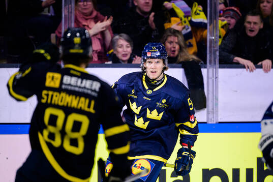 Marcus Hardegård of Sweden celebrates