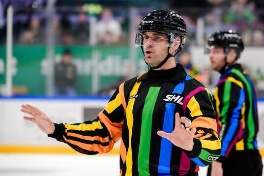 Domare Richard Magnusson