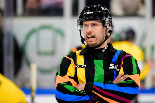 Domare Johan Magnusson