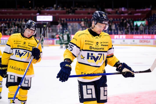 HV71s Victor Sjöholm och Radan Lenc deppar