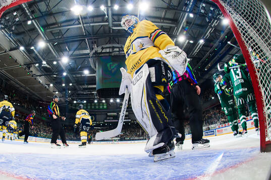 HV71s målvakt Joni Ortio deppar