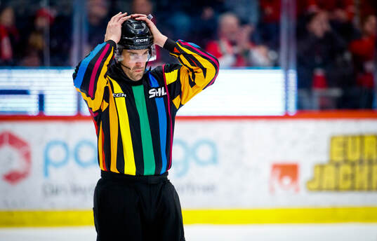 Domare Mikael Sjöqvist