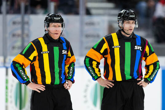 Domare Mikael Holm och domare Johan Wedin