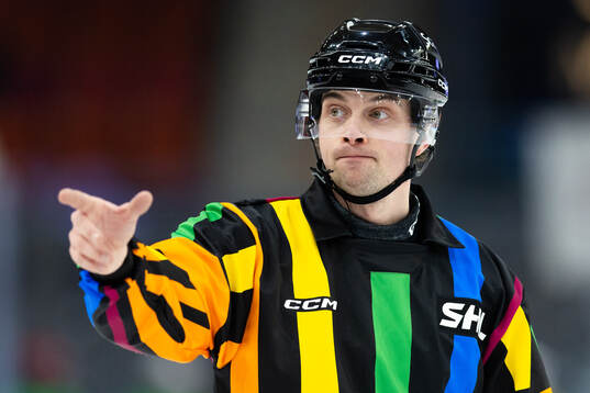 Domare Johan Wedin